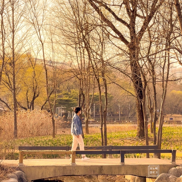 서울숲 피크닉 방탄 벤치 자전거 산책 지도 & 주차장 정보