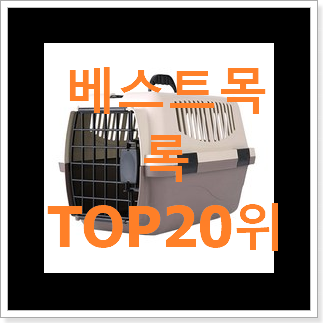 대박난 셀린느폴코백 선택 이건 사야돼! 대박난 셀린느폴코백 선택 이건 사야돼!
