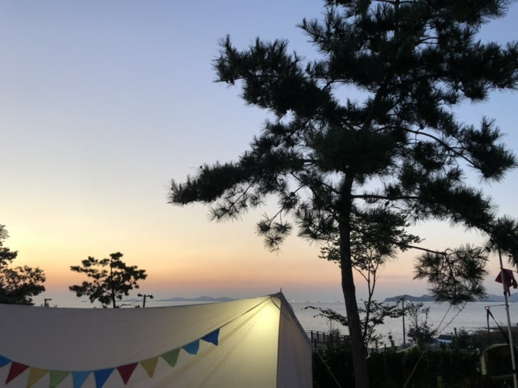  초보 캠퍼의 캠핑장 추천 (강화도 바다애,가평 자우림 ,태안 청산리오토 캠핑장)