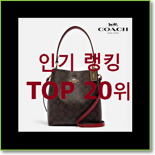  아이디어 넘치는 코치버킷백 써보세요.