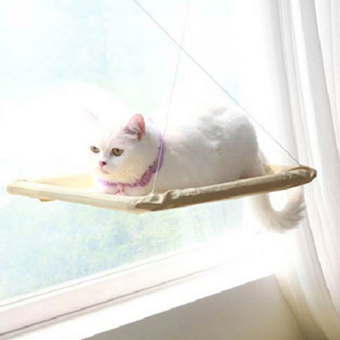 최근 인기있는 SUNNY SEAT 윈도우 고양이, 혼합색상 추천합니다