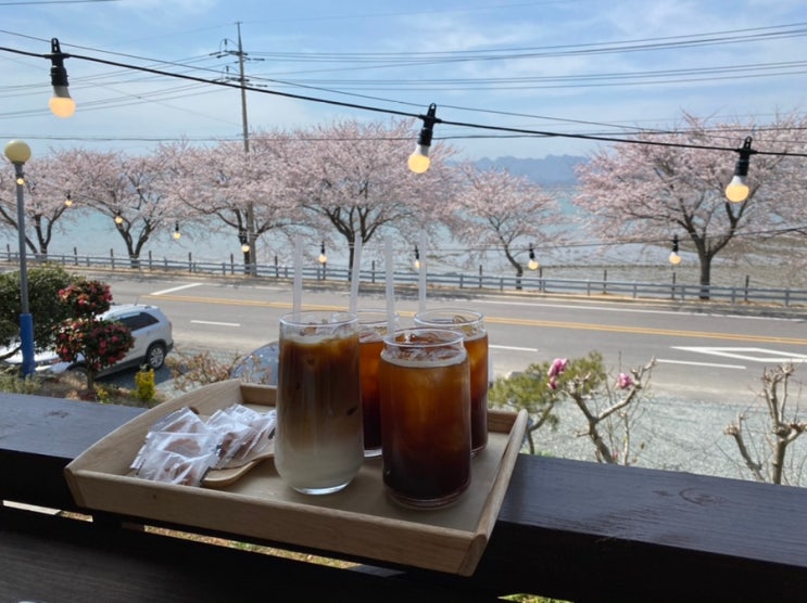 벚꽃들이 보이는 카페꽃섬_강진카페, 플라워오션뷰카페, 벚꽃뷰, 뷰맛집, 강진에서 가볼 만한 곳 벚꽃들이 보이는 카페꽃섬_강진카페, 플라워오션뷰카페, 벚꽃뷰, 뷰맛집, 강진에서 가볼 만한 곳