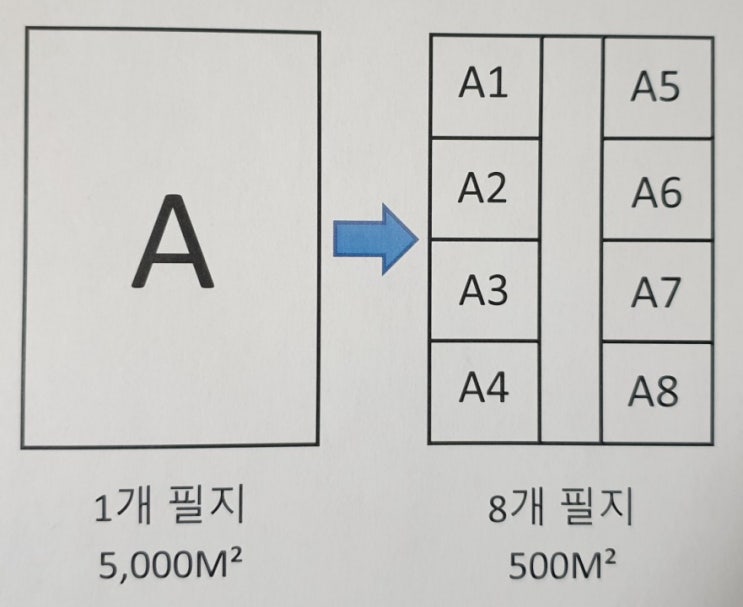 토지 개발부담금 부과되는 사례 및 계산 방법