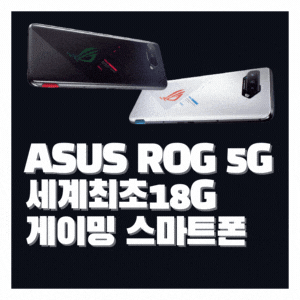  ASUS 게이밍폰  ROG Phone 5등장, 스냅드래곤 888탑재 최상위 모델 세계 최초의 메모리 18GB