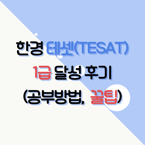  3주간 독학으로 테셋(TESAT) 1등급 받았습니다.(상위 6%)