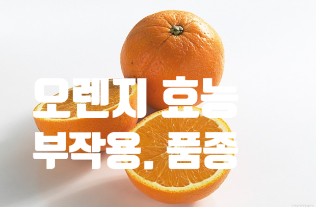 항산화 면역력에 좋은 오렌지 효능 (ft. 부작용. 품종. 고르는 법)