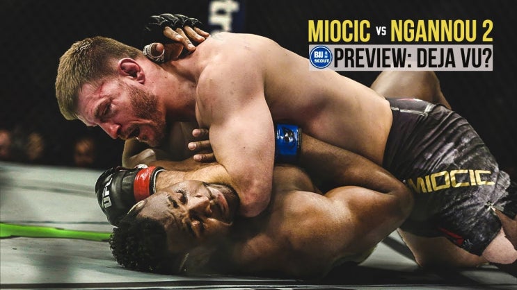 스티페 미오치치 VS 프랑시스 은가누 분석(BJJ스카우트) 스티페 미오치치 VS 프랑시스 은가누 분석(BJJ스카우트)