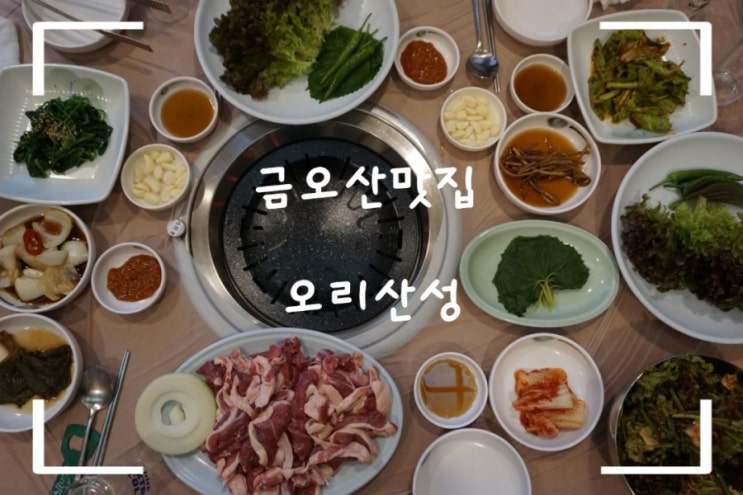  구미 금오산 맛집 오리고기 맛집 금오산 오리산성 오리구이 맛있어요