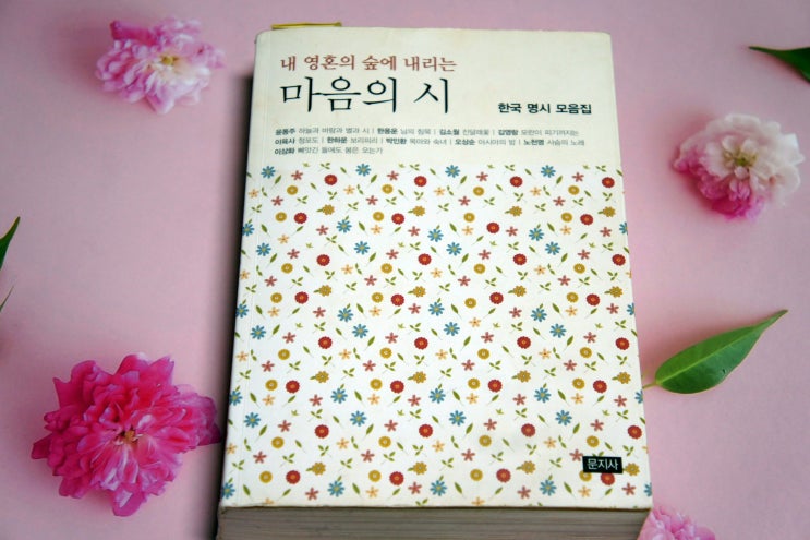 김소월 「먼 후일」 「못 잊어」 「예전엔 미쳐 몰랐어요」