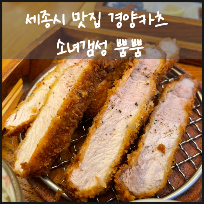 세종시 맛집 경양카츠 소녀갬성 뿜뿜