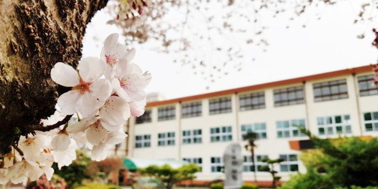 고흥도화고등학교 Goheung Dohwa High School 고흥도화고등학교 Goheung Dohwa High School