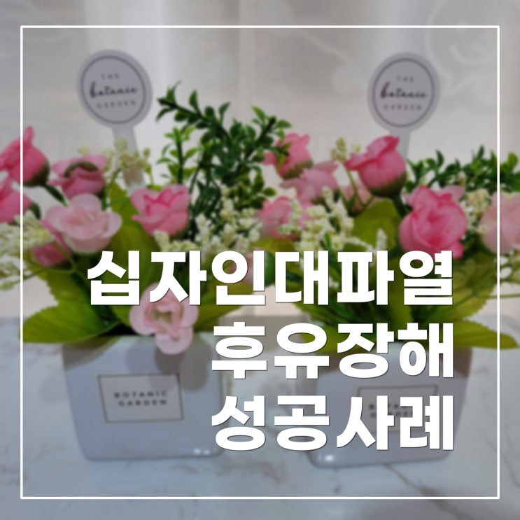 십자인대파열 후유장해보험금 성공사례