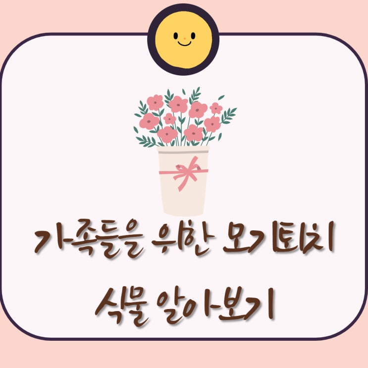  모기퇴치효과 식물 화분 알아보기
