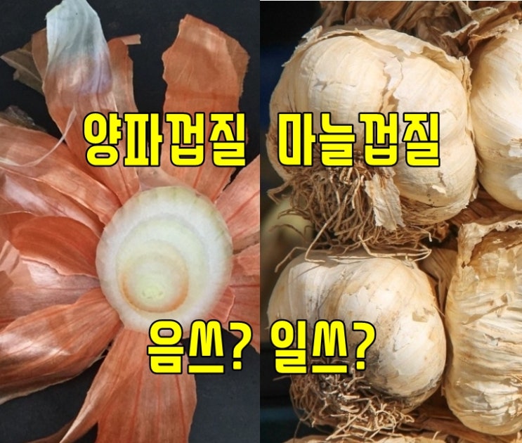  계란껍질, 생선머리 음식물 vs 일반 쓰레기 구분하는법