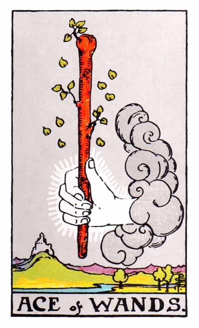  [타로카드 해석] 지팡이.1 (Ace of Wands)