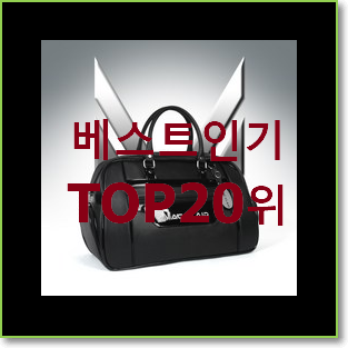  오늘의 생로랑카메라백 아이템 추천합니다!