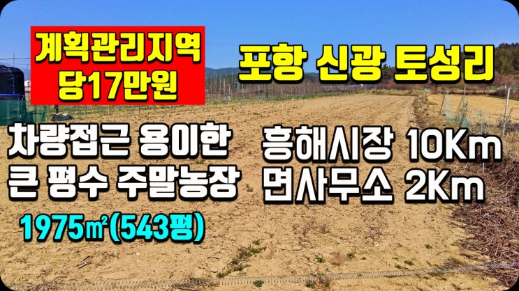 포항부동산 착한금액의 시골땅 토지매매 신광면 토성리 543평 촌땅-시골집매매 촌집매매 전원주택매매 급매 전문 착한부동산 포항부동산 착한금액의 시골땅 토지매매 신광면 토성리 543평 촌땅-시골집매매 촌집매매 전원주택매매 급매 전문 착한부동산