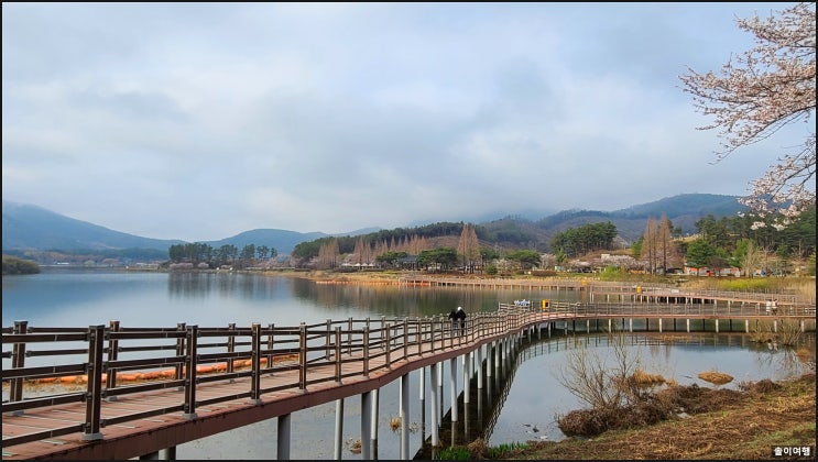  익산 서동공원과 금마저수지 한 바퀴 익산 벚꽃개화 70프로
