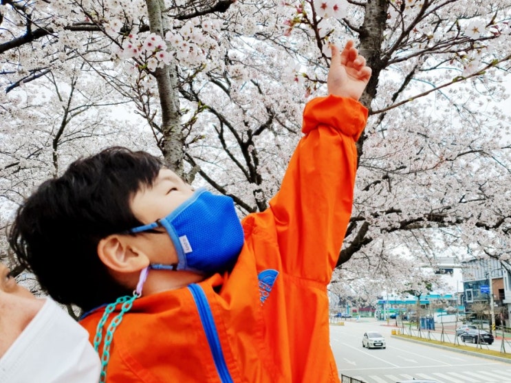  원생활 잘하고 있어요
