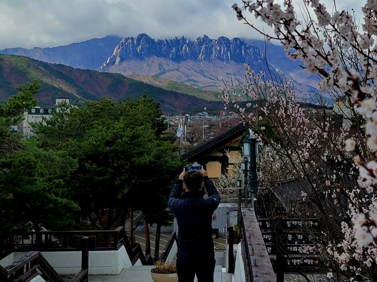 속초 설악산 울산바위 시내 어디에서나 볼수 있어요