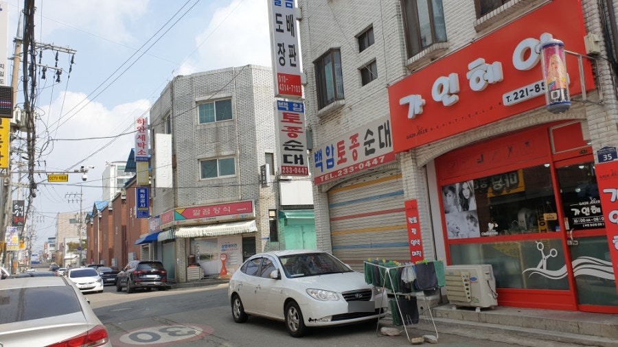 백암토종순대 사진 5