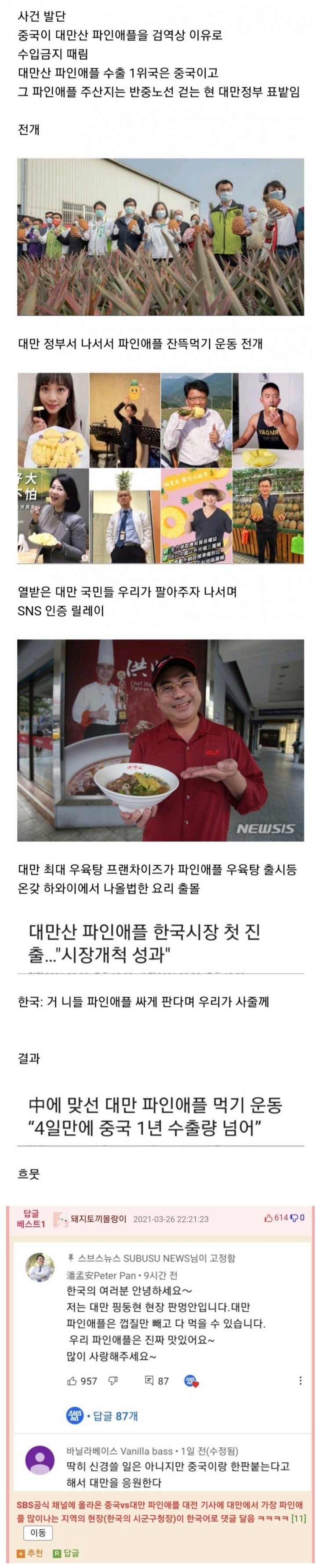  파인애플 전쟁 중인 대만