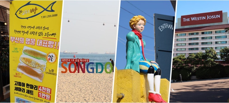  [부산 여행 (21년 2월) : 2일차] 부산고등어빵, 송도해수욕장, 감천문화마을, 웨스틴조선부산호텔