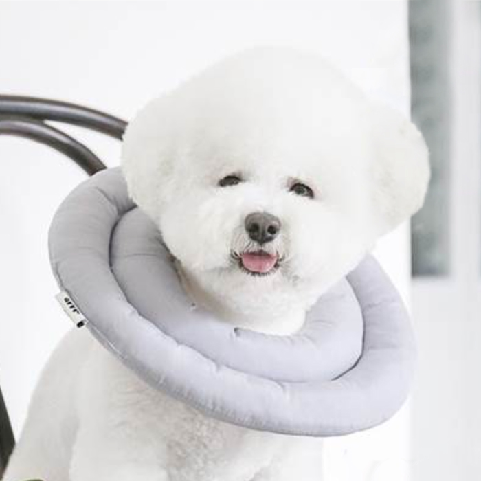 인기 급상승인 아르르 UFO 강아지 넥카라 그레이 M, 266g, 1개 ··· 인기 급상승인 아르르 UFO 강아지 넥카라 그레이 M, 266g, 1개 ···