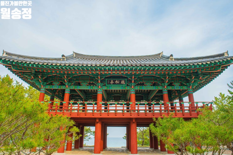  울진 가볼만한곳 울진 월송정