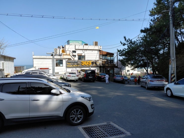  [부산/해운대구/송정] 303화덕 송정점