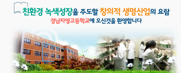 경남자영고등학교 jayoung highschool 경남자영고등학교 jayoung highschool