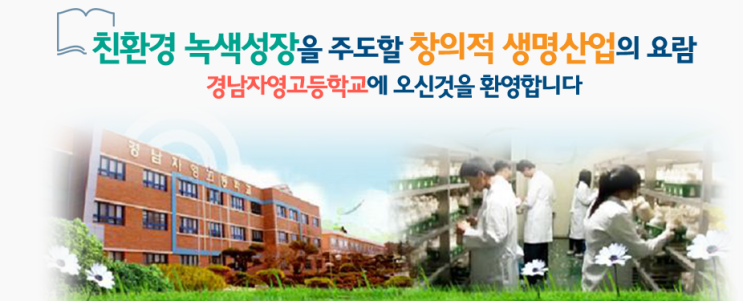 경남자영고등학교 jayoung highschool