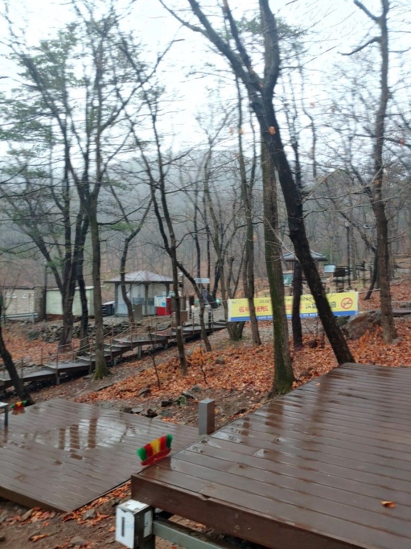의왕바라산 자연휴양림 도심속휴양림 : 네이버 블로그