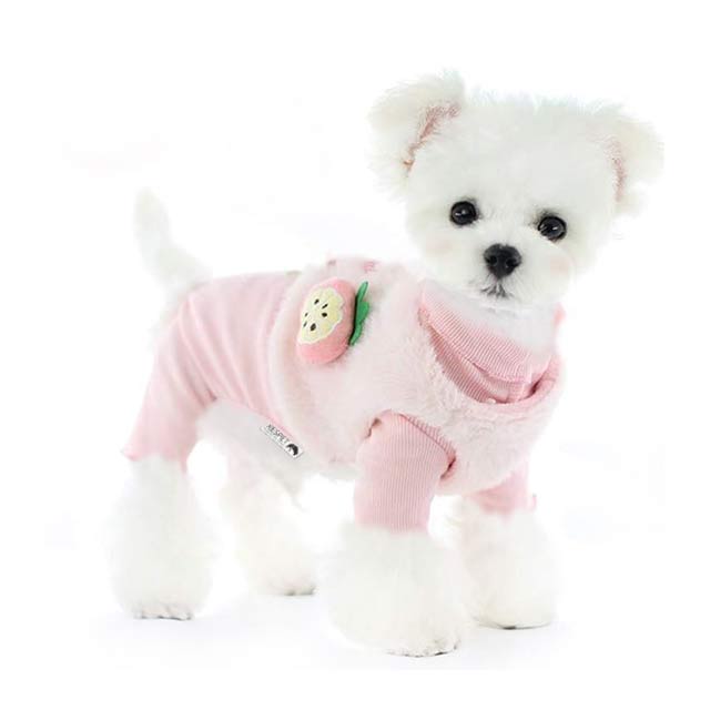 인기있는 리스펫 올인원 프룻베스트 강아지옷, 핑크 ···