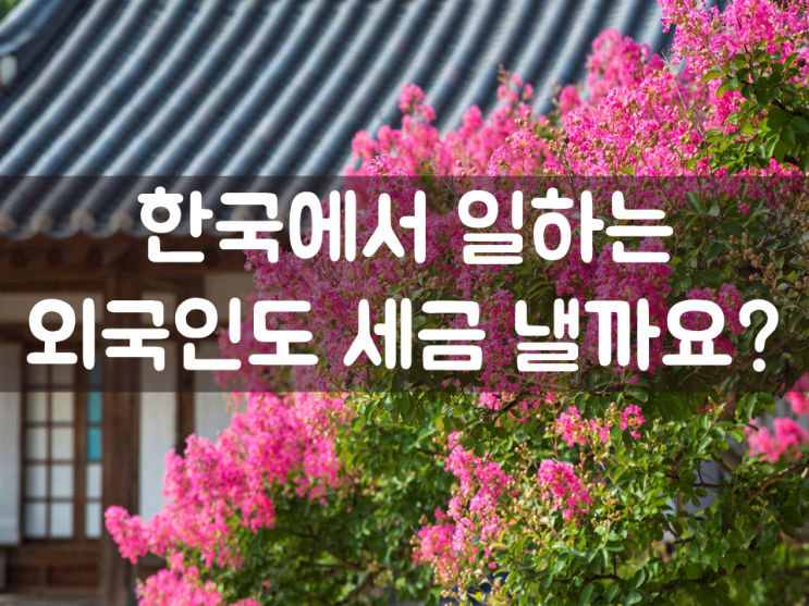  한국에서 일하는 외국인도 세금 낼까요?