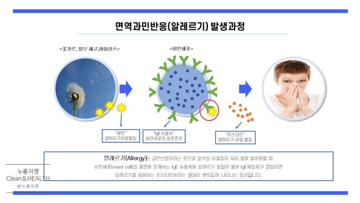  [건강정보]코 상태개선 건강기능성 원료(구아바,쑥부쟁이,L.Plantarum IM76)