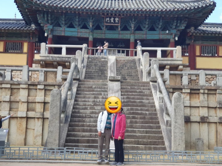  좋은 분들과 #경주벛꽃 나들이