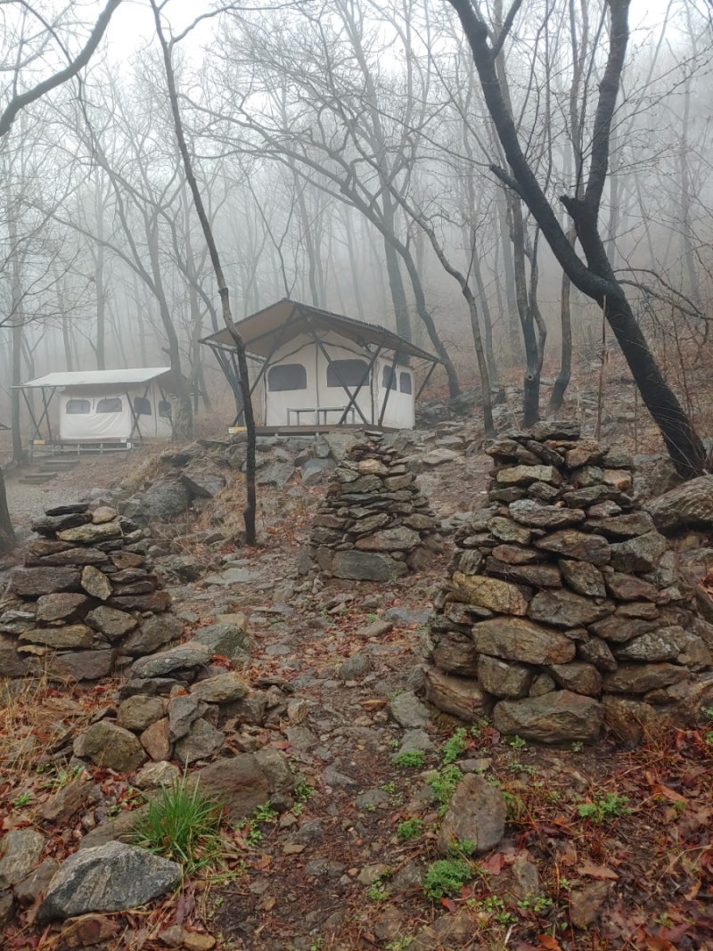 의왕바라산 자연휴양림 도심속휴양림 : 네이버 블로그