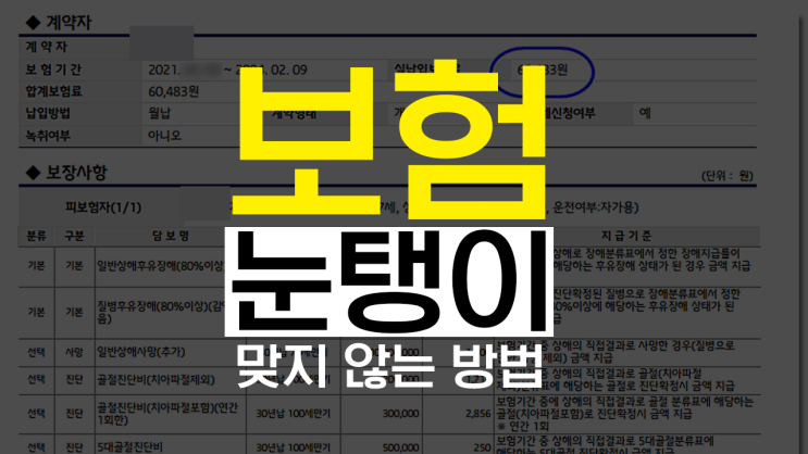  [내 보험 진단] 보험증권 보장 분석 제대로 확인하는 방법