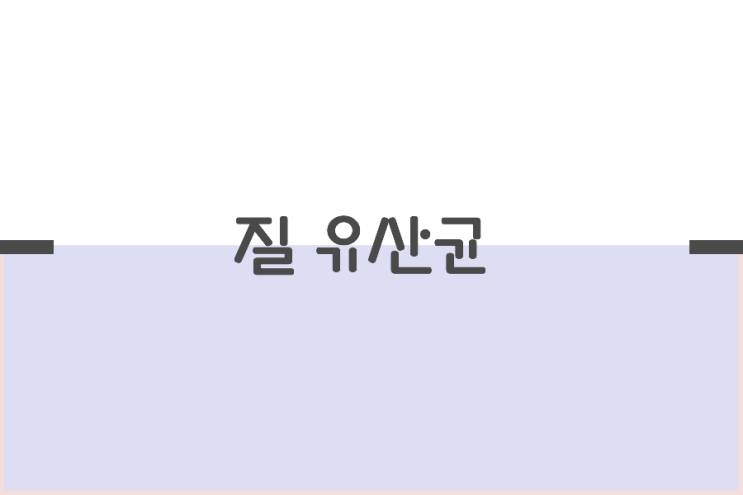 여성을 위한 질유산균 여성을 위한 질유산균