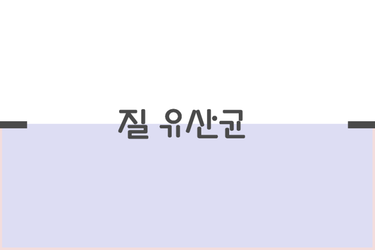 여성을 위한 질유산균