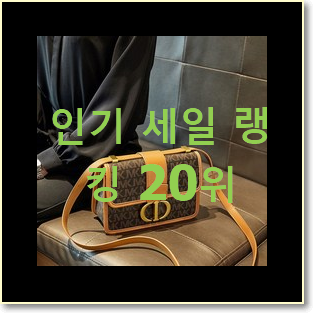  최후의 선택 로에베해먹백 목록 강추!