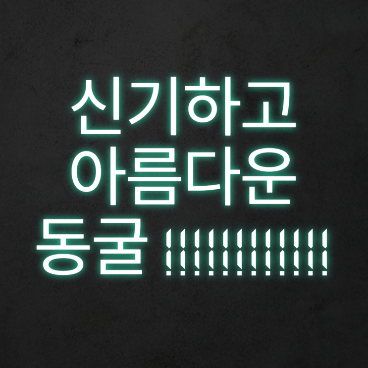  [국내] 가볼만한 동굴추천.
