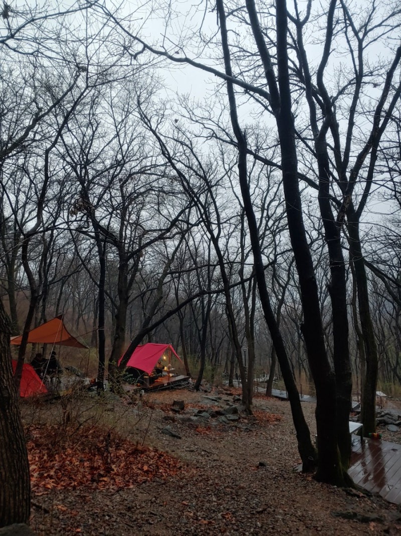 의왕바라산 자연휴양림 도심속휴양림 : 네이버 블로그