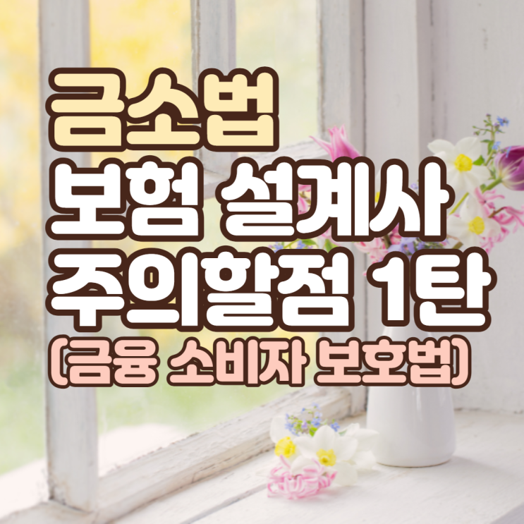  금소법 보험 설계사 주의할 점 알아보자 (1탄)