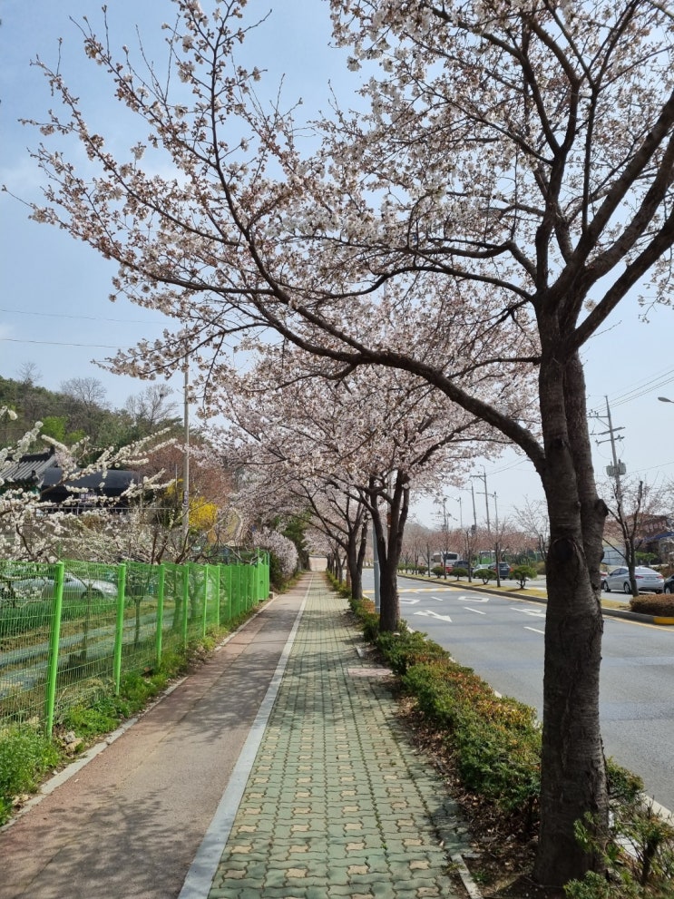  챌린지 20일차.