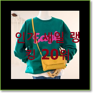  알뜰신상 새들백 선택 인기 랭킹 순위 20위
