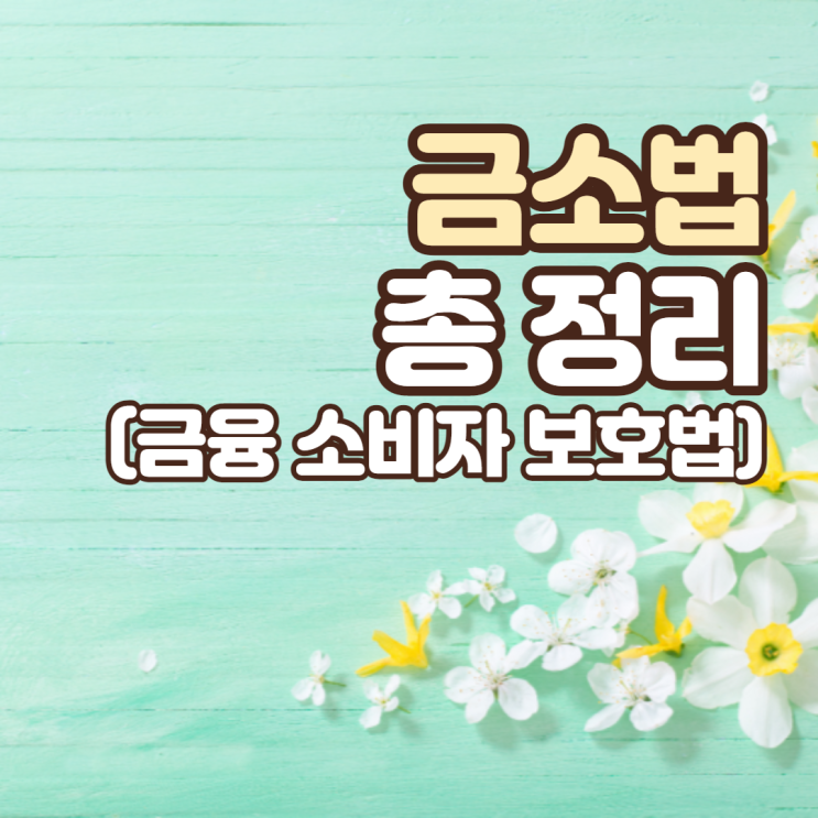  금융 소비자보호법 알아보자 (금소법이란?)