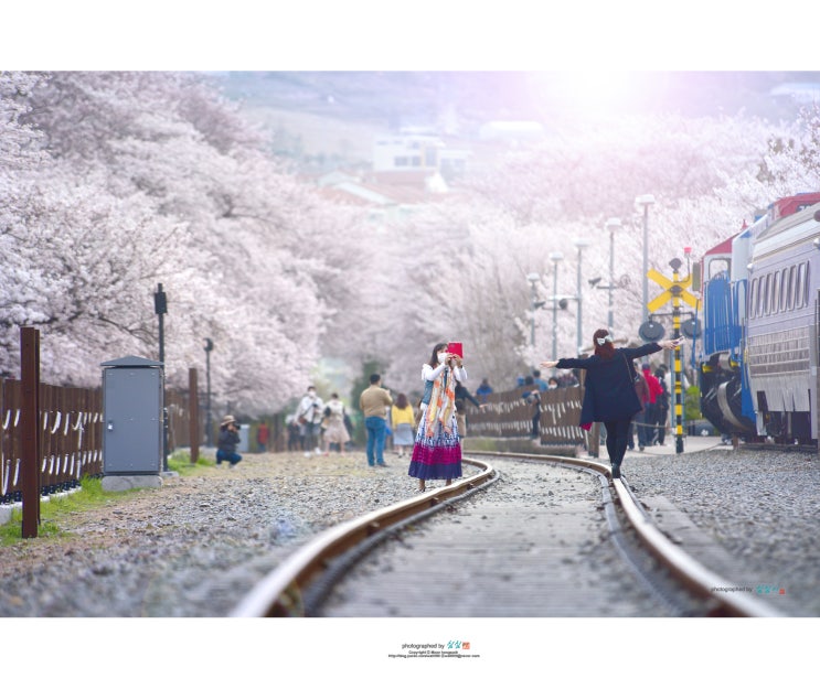  [경남 창원시]  2021.진해 경화역 스켓치...