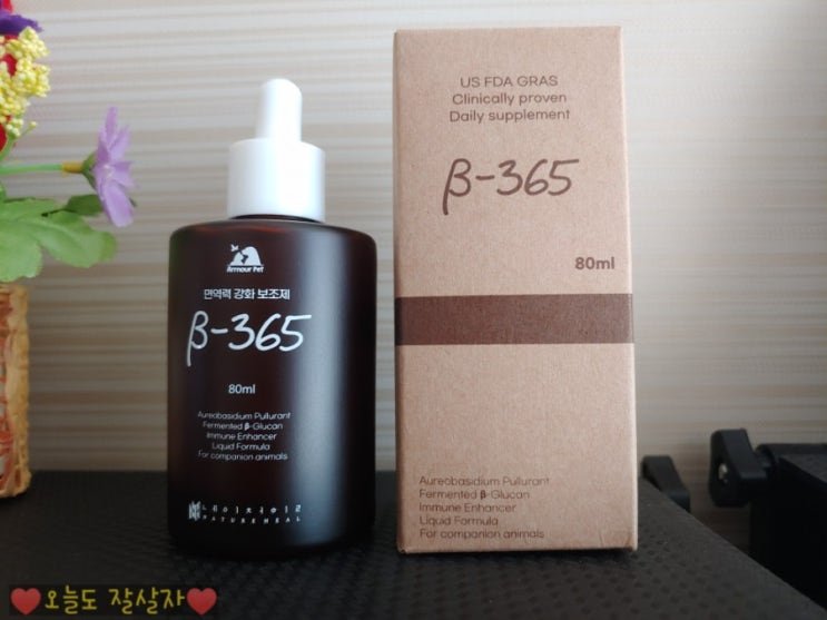  강아지면역력 아머펫 베타 365 한병이면 OK